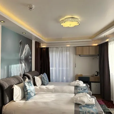 酒店 Whiteswan 埃讷安