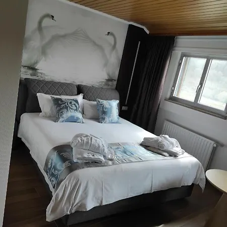 Whiteswan 4*