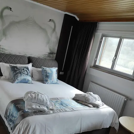 Whiteswan 4*